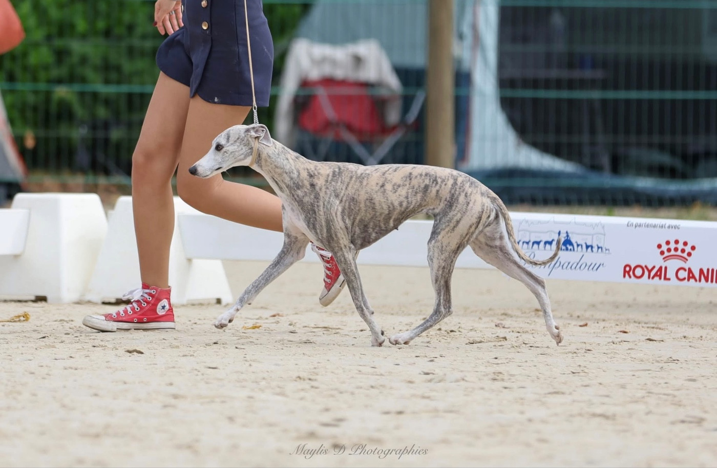 Time off my life Du Domaine Rose Chardon